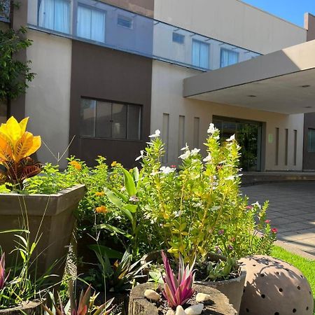 Maximus Business Hotel Ji-Paraná المظهر الخارجي الصورة