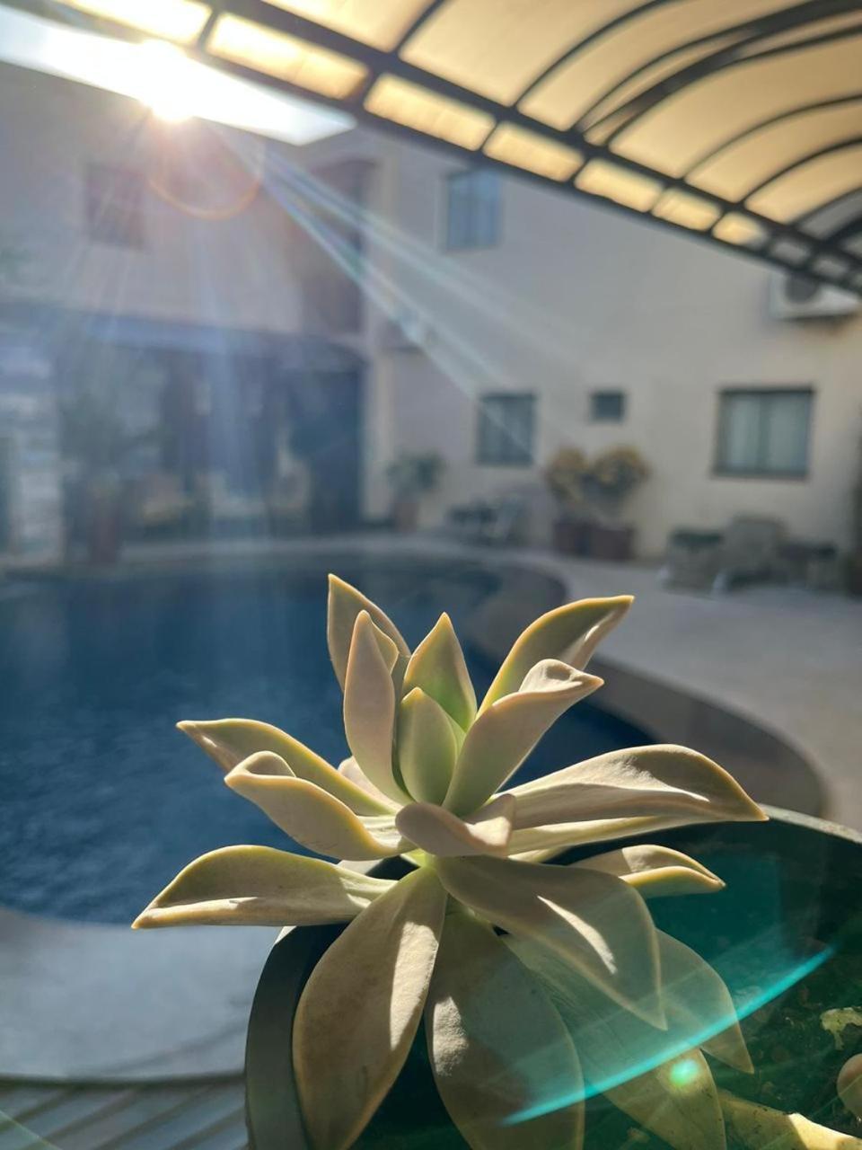Maximus Business Hotel Ji-Paraná المظهر الخارجي الصورة